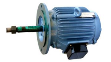 torque motor